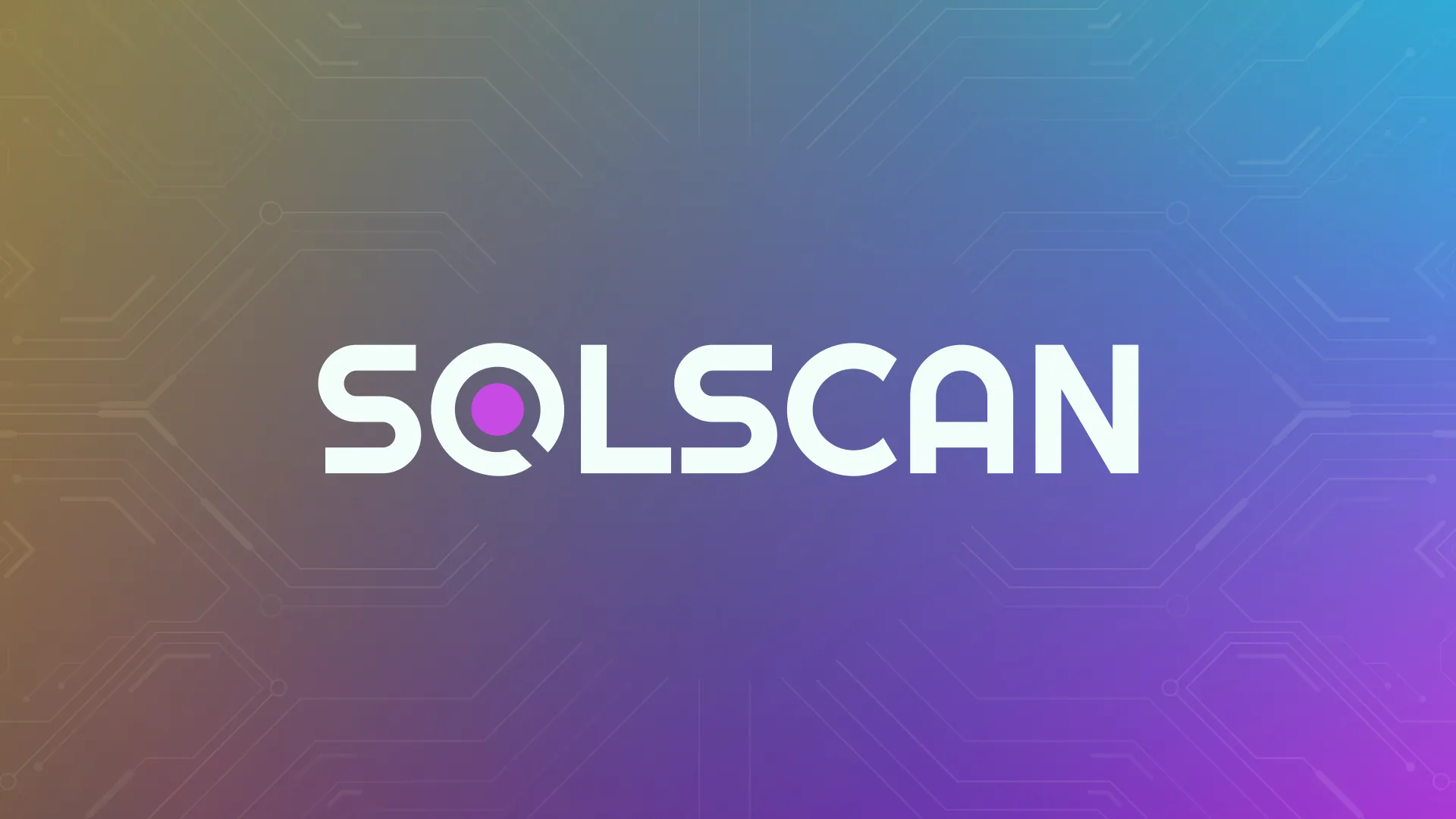 SolScan Overview – Uses, Features and Top Alternatives